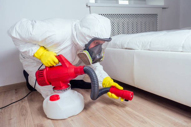 Best Flea Control Services  in Union, OH