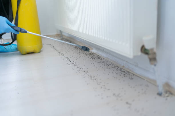 Best Rat Extermination Near Me  in Union, OH